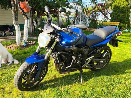 2008 Yamaha FZ6, синий, 415000 рублей, вид 5