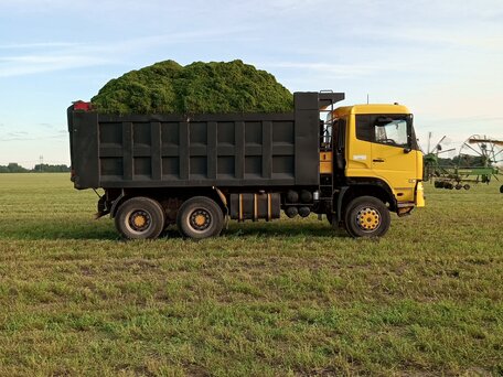 2008 Dongfeng DFL 3251A, жёлтый, 1700000 рублей, вид 1