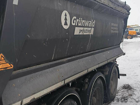 2023 Grunwald Полуприцеп шторный, серый, 1965000 рублей, вид 1