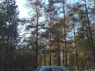 2002 ГАЗ 3110 «Волга», золотистый, 100000 рублей, вид 3