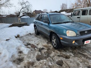 2001 Hyundai Santa Fe I, зелёный, 350000 рублей, вид 5