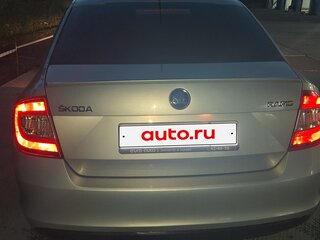 2014 Skoda Rapid I, серебристый, 850000 рублей, вид 5