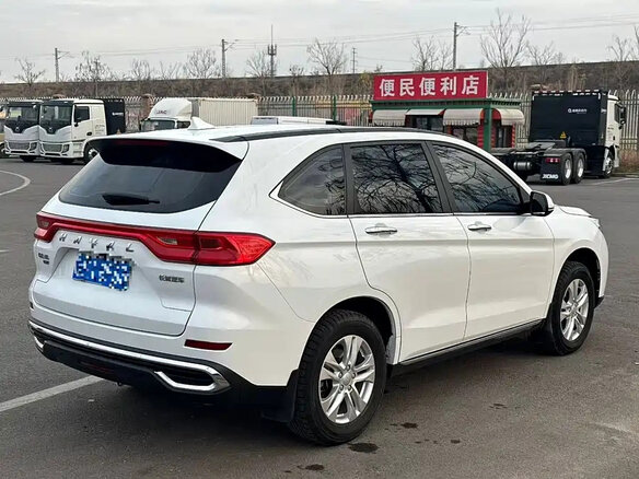 2021 Haval M6 Plus II, белый - вид 7
