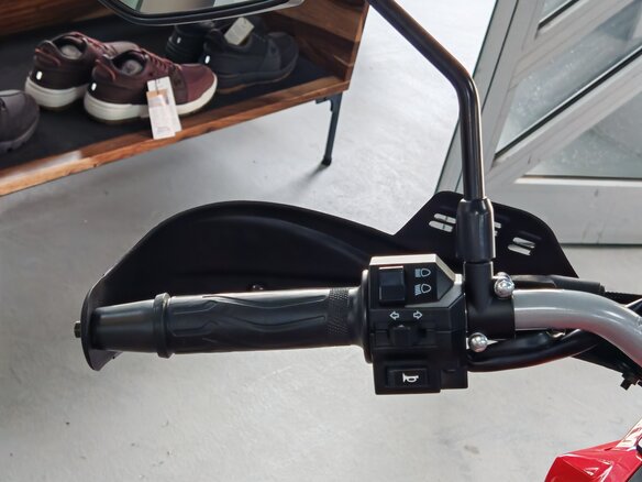 2026 Loncin DS250, красный, 258000 рублей - вид 11
