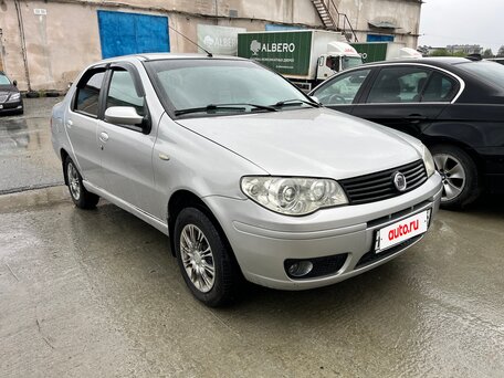 2008 Fiat Albea I Рестайлинг, серый, 365500 рублей, вид 3