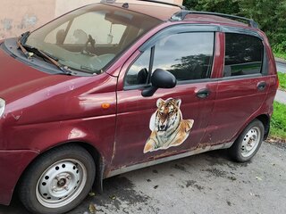 2005 Daewoo Matiz I Рестайлинг, пурпурный, 100000 рублей, вид 1