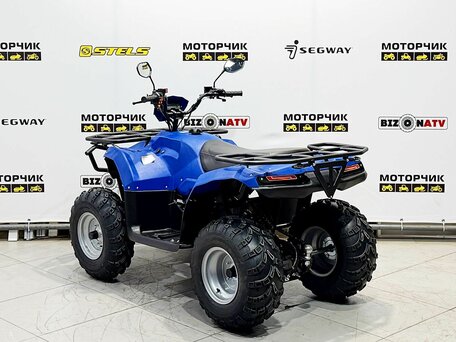 2026 Irbis ATV 200U, синий, 251000 рублей, вид 3