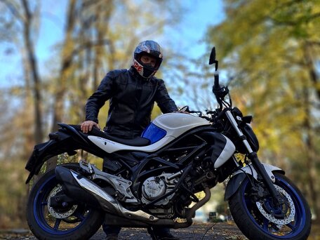 2015 Suzuki SFV 650 Gladius, синий, 501000 рублей, вид 1