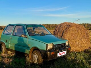 2003 Lada (ВАЗ) 1111 Ока КамАЗ, зелёный, 99000 рублей, вид 5