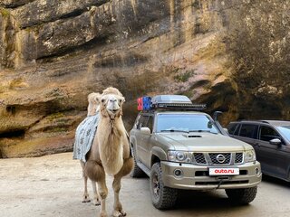 2008 Nissan Patrol V (Y61) Рестайлинг, золотистый, 2950000 рублей, вид 3