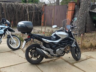 2011 Suzuki SFV 650 Gladius, серебристый, 420000 рублей, вид 1