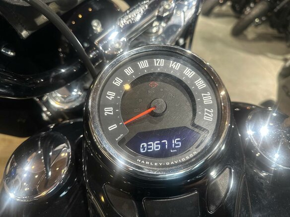 2020 Harley-Davidson Heritage, чёрный, 1850000 рублей - вид 9