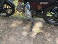 2025 Racer Alpha, пурпурный - вид 1