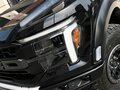 2025 Ford F-150 Raptor XIV Рестайлинг, чёрный, 14990000 рублей - вид 5