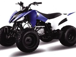 2026 Motoland ATV 150S, чёрный, 146600 рублей, вид 1