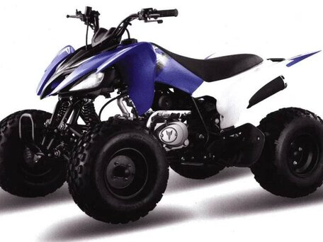 2026 Motoland ATV 150S, чёрный, 172200 рублей, вид 1