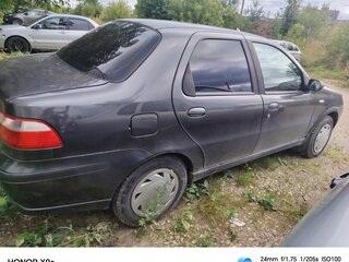 2008 Fiat Albea I Рестайлинг, серый, 210000 рублей, вид 3