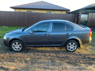 2007 Skoda Octavia II (A5), серый, 352000 рублей, вид 3