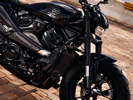 2022 Harley-Davidson Sportster S, чёрный, 2950000 рублей, вид 3