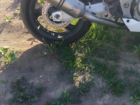 2002 Honda CBR 1100 XX, белый, 460000 рублей, вид 1