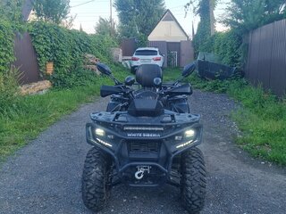 2025 Bars YQ250GY-18V, чёрный, 270000 рублей, вид 1
