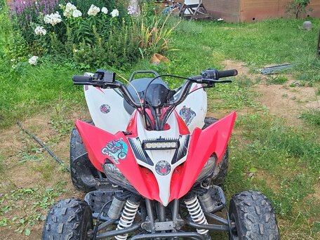 2023 Motoland ATV 250S, красный, 168000 рублей, вид 1