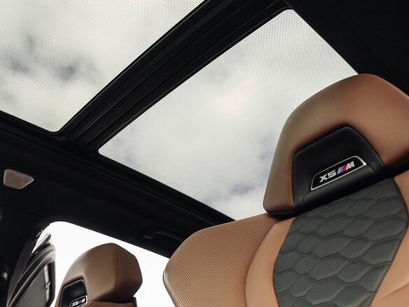 2021 BMW X5 M Competition III (F95), серый, 10990000 рублей - вид 6