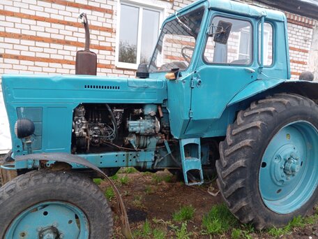 1991 МТЗ (BELARUS) 80, голубой, 360000 рублей, вид 5
