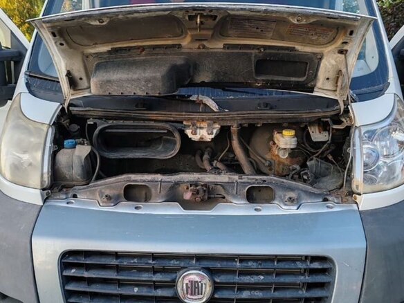 2008 Fiat Professional Ducato, белый, 920000 рублей - вид 6
