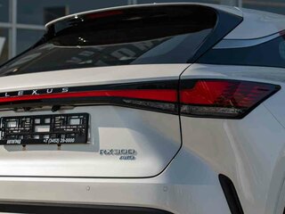 2025 Lexus RX 300 V, белый, 8149000 рублей, вид 4