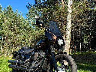 2019 Harley-Davidson Softail Custom, коричневый, 971000 рублей, вид 2