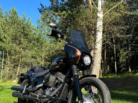 2019 Harley-Davidson Softail Custom, коричневый, 971000 рублей, вид 2