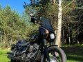 2019 Harley-Davidson Softail Custom, коричневый, 971000 рублей - вид 1