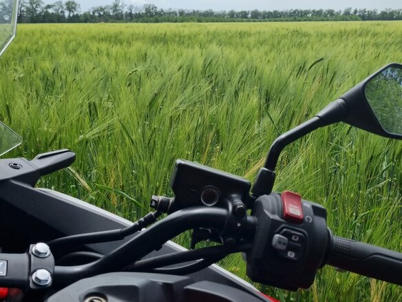 2021 Honda NC 750X, красный, 999000 рублей - вид 5