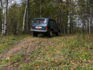 1999 Lada (ВАЗ) 2121 (4x4) I Рестайлинг, зелёный, 125000 рублей, вид 5