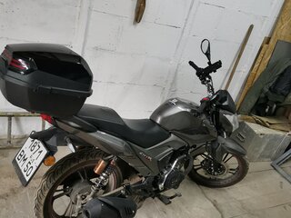 2024 Lifan LF175-2E, серый, 80000 рублей, вид 4