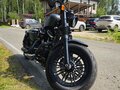 2020 Harley-Davidson Sportster 1200, зелёный, 1100000 рублей - вид 1