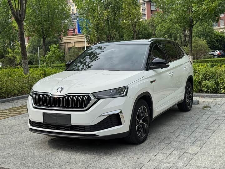 Открыть фотографии: Skoda Kamiq I (China Market)