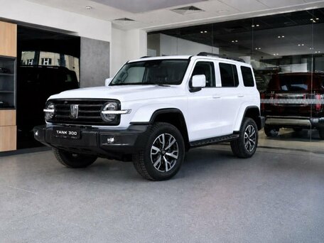 Tank 300 I