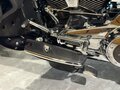 2020 Harley-Davidson CVO Tri Glide, чёрный, 7350000 рублей - вид 11