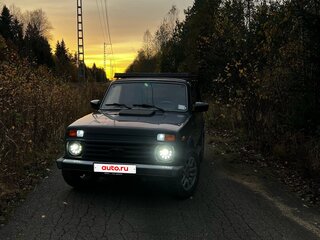 2013 Lada (ВАЗ) 2121 (4x4) I Рестайлинг, зелёный, 480000 рублей, вид 4