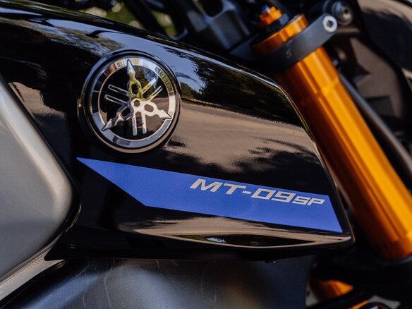 2022 Yamaha MT-09 (FZ-09), серебристый, 1075000 рублей - вид 19