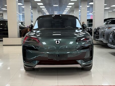 2025 Denza N9 46.9 kWh, зелёный, 8700000 рублей, вид 4