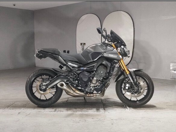 2014 Yamaha MT-09 (FZ-09), серый, 620000 рублей - вид 11