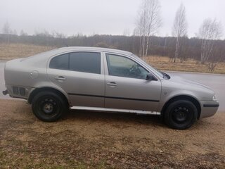 2010 Skoda Octavia I (A4) Рестайлинг, серый, 250000 рублей, вид 2