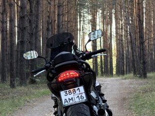 2007 Honda CB 600F Hornet, чёрный, 460000 рублей, вид 1