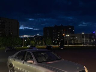 1999 Mercedes-Benz S-Класс 500 IV (W220), серебристый, 750000 рублей, вид 4