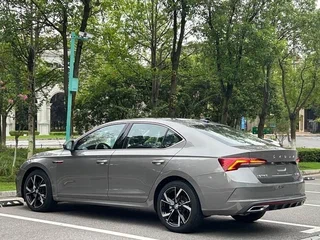 2023 Skoda Octavia IV (A8), серый, 2060000 рублей, вид 5