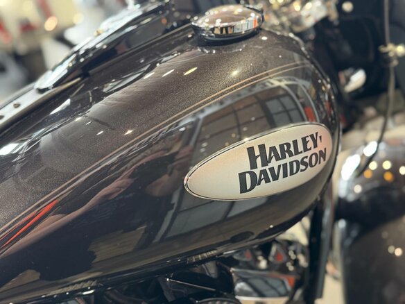 2021 Harley-Davidson Heritage, серый, 3500000 рублей - вид 8