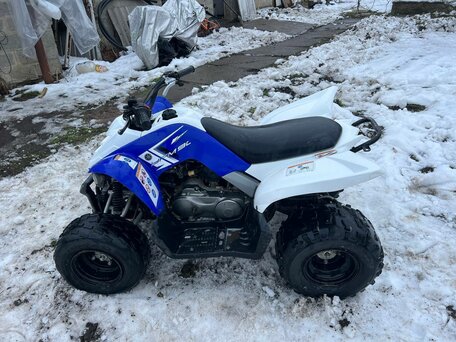 2012 Yamaha Raptor YFM90, синий, 110000 рублей, вид 4